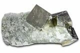 Five Gleaming Pyrite Cubes In Rock - Navajun, Spain #361777-1